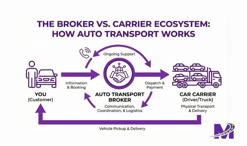 Header image - Blog Article - 8 Infographic explaining the relationship between auto transport brokers and car carriers.