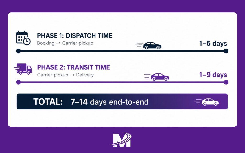 Monarch - Blog Article Illustrations - 2026-06-12T213416.736 Infographic showing two phases of car shipping timeline — dispatch time and transit time
